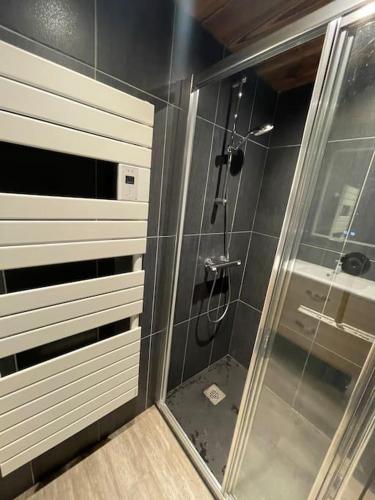 une douche avec une porte vitrée dans une salle de bain dans l'établissement Le Pierrer 5 4 couchages, à Valmorel