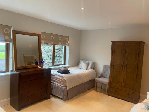 a bedroom with a bed and a dresser and a mirror at Reenconnell Dingle in Dingle