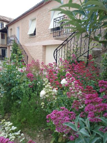 a garden of flowers in front of a building at Les Gites du Mont Ventoux in Bédoin