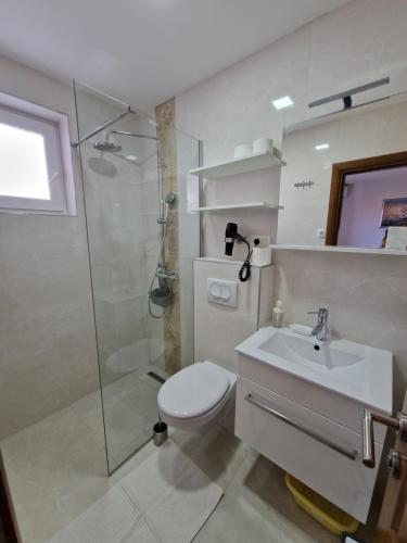 a bathroom with a shower and a toilet and a sink at Apartments Šarić in Baška Voda
