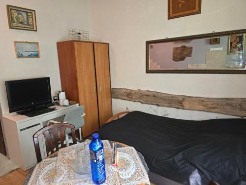 Televízia a/alebo spoločenská miestnosť v ubytovaní Hostel Apollo