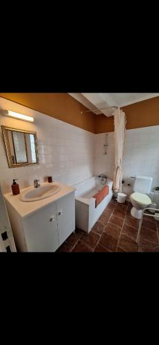 une salle de bain avec un lavabo, une baignoire et des toilettes dans l'établissement Les semailles, à Saint-Nazaire-de-Ladarez