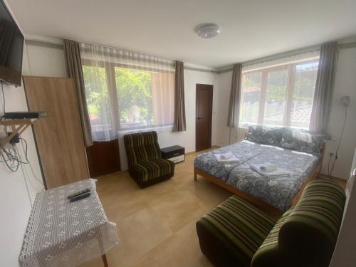 ein Wohnzimmer mit einem Bett und einem Sofa in der Unterkunft Анелия in Saparewa Banja
