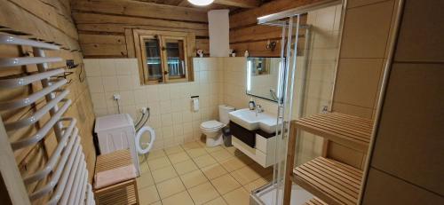 a small bathroom with a toilet and a sink at Leśniczówka Przysietnica in Przysietnica