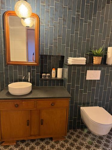a bathroom with a sink and a mirror and a toilet at Vino Grando 't Klooster in Odiliapeel