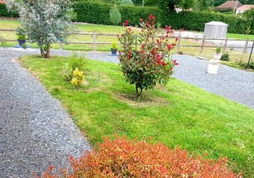 a garden with red flowers on the grass at LE CLOS DES PRAIRIES Suite 2 grandes chambres in Saint-Yan
