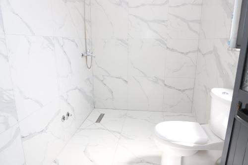 a white bathroom with a toilet and a shower at Vila Luen in Berat