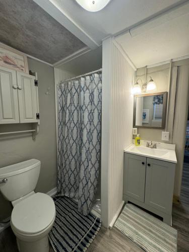 a bathroom with a toilet and a sink and a shower at The Tides in Hampton