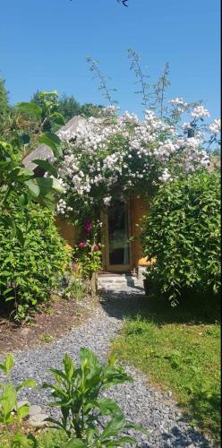 a house with a flowering bush in front of it at Tara vegetarian retreat guesthouse in Carmarthen