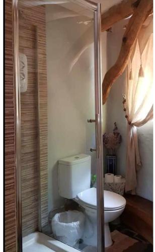 a bathroom with a toilet and a glass shower at Tara vegetarian retreat guesthouse in Carmarthen