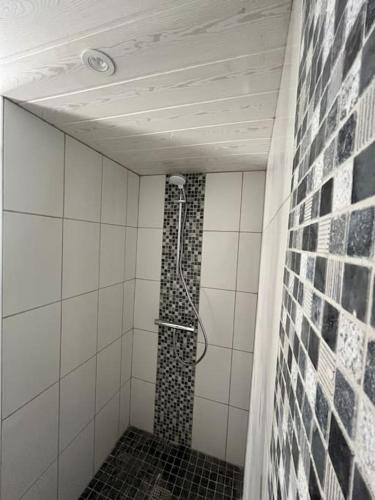 une douche dans une salle de bain avec un mur carrelé dans l'établissement Gîte du Tilleul - Sauna & Jardin, à Olby