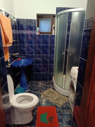 a blue tiled bathroom with a toilet and a shower at Sadyba u Mykhaila in Kosonʼ