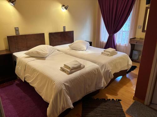 twee bedden in een hotelkamer met handdoeken erop bij Guesthouse Sinoi in Vytina