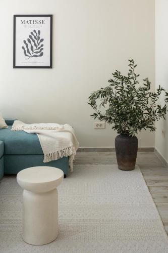 Stanza palmis the urban retreat