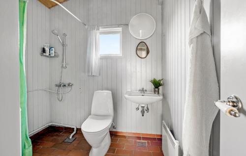 a bathroom with a toilet and a sink and a shower at Cozy Home In Juelsminde With Wifi in Juelsminde