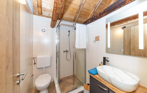 een badkamer met een douche, een toilet en een wastafel bij Beautiful Home In Trolokve With Kitchen in Prgomet