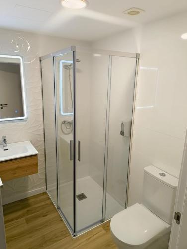 a bathroom with a shower and a toilet and a sink at Villa Galicia (Padrón) in Padrón