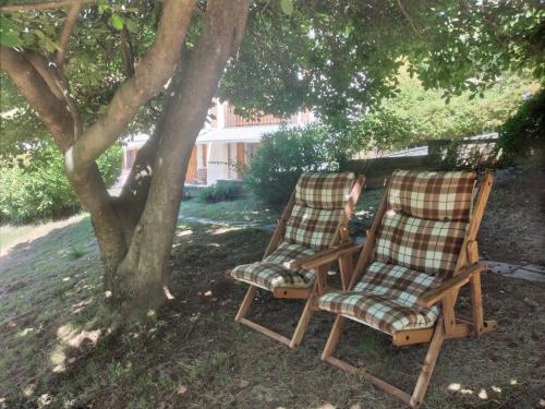 two chairs sitting under a tree in a yard at Appartamento a due passi da Burcina in Favaro