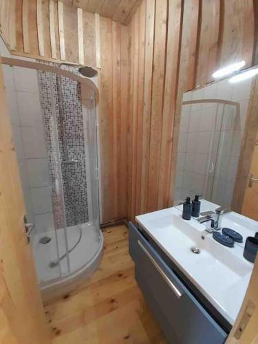 une salle de bain avec une douche, un lavabo et un miroir dans l'établissement La Grange de la Gratade, à Rochefort-Montagne