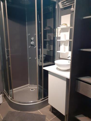 une salle de bain avec une douche avec un lavabo et des toilettes dans l'établissement Location saisonnière avec piscine et terrasse au pied du luberon, à Lauris