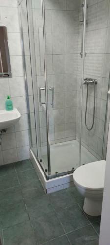 Un baño con ducha, inodoro y lavabo. en B&B Family Skvor, en Portorož