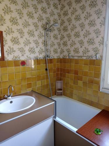 une salle de bain avec un lavabo et une baignoire dans l'établissement Maison d'Aline, à Pléguien
