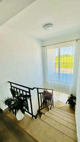 Una escalera en una habitación con ventana y plantas. en La Jenel, en Ciupercenii Noi