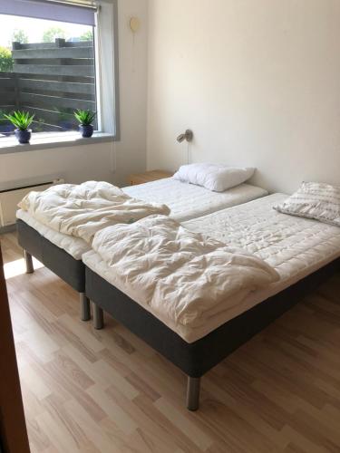 2 camas individuales en un dormitorio con ventana en Langø, ferielejlighed, en Nakskov
