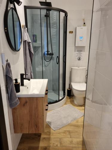 ein Bad mit einer Dusche, einem Waschbecken und einem WC in der Unterkunft Apartament POD JELENIEM in Głuszyca