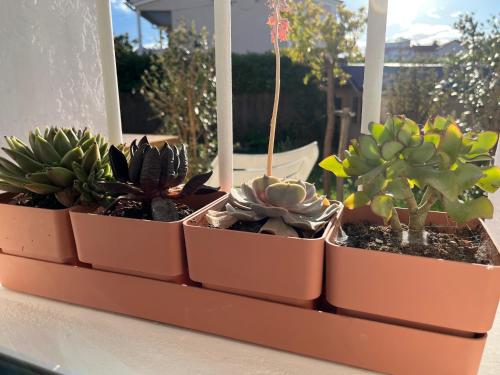 Appartement deux pièces donnant sur un jardin