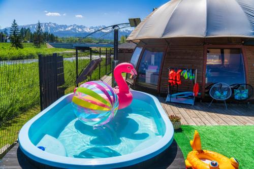 a swimming pool with a rubber duck and a ball in it at GORSKI RESORT Lux Apartments Jacuzzi & Sauna in Poronin