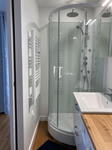 une salle de bain avec douche et lavabo dans l'établissement Logement T2 neuf-évasion en Corrèze, à Ligneyrac