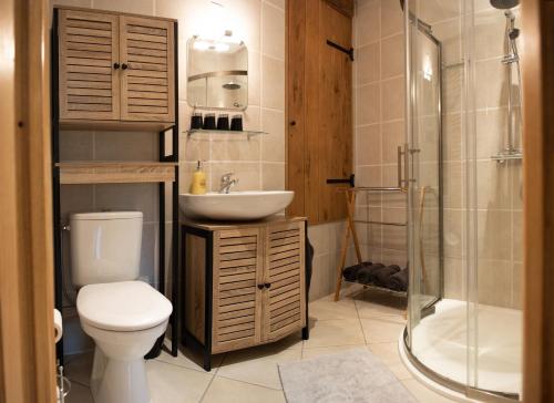 a bathroom with a toilet and a sink and a shower at Veyrinas 43 in Saint-Yrieix-la-Perche