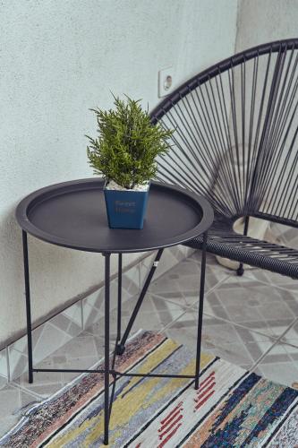 a black table with a plant on it next to a bench at Nanki's Residence in Visoko