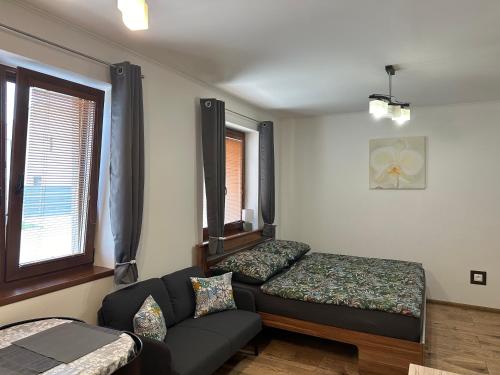 Apartmán Losonci في Nesvady: غرفة معيشة مع أريكة وسرير
