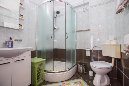 a bathroom with a shower and a toilet and a sink at Villa Michelle in Karojba