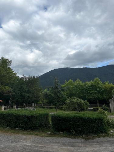 a view of a park with trees and a mountain at Guesthouse Sinoi in Vytina