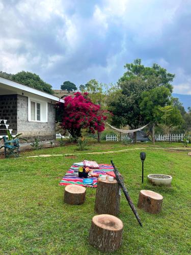 a picnic table in a yard with three tree stumps at Earth songs by Green leaves - 10 kms from kotagiri in Kotagiri
