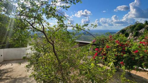 una vista desde el jardín de una casa con flores en POUSADA MIRANTE DO VALE en Serra de São Bento