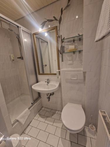 a bathroom with a toilet and a sink and a shower at Cafe Steffens in Hahnenklee-Bockswiese