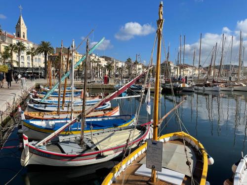 un groupe de bateaux amarrés dans un port dans l'établissement Vacances bord de mer - Appartement Sanary sur Mer, à Sanary-sur-Mer