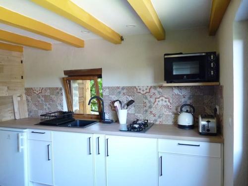 une cuisine avec un évier et un micro-ondes dans l'établissement Appartement, à Lunac