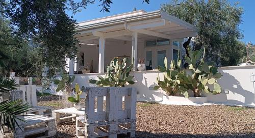a house with cacti and a chair in front of it at B&B Sperlonga in Mattinata