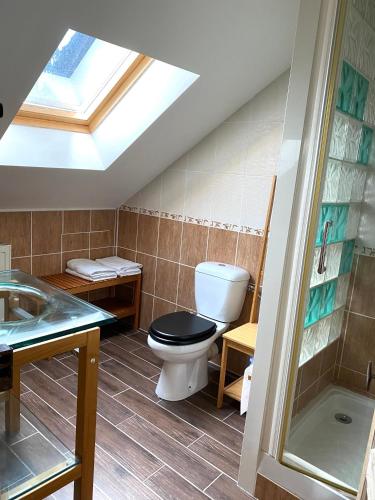 une salle de bain avec toilettes et lavabo dans l'établissement Gîte du Prieuré de Corbrandes - Longère typique en pleine nature - Entre Chambord et Beauval, 6 pers, animaux OK, à Soings-en-Sologne