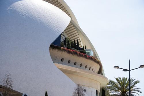 Alojamiento junto al Oceanográfic photo 42