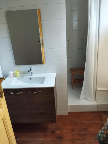 une salle de bain avec un lavabo, un miroir et une douche dans l'établissement Le vieux tilleul, à Fère-en-Tardenois
