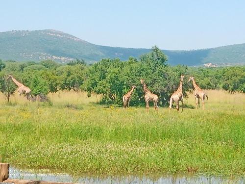 Paisaje cerca de este tented camp