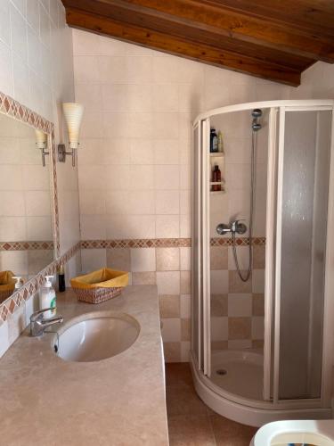 a bathroom with a sink and a shower at Quinta das Palmeiras - Casa no Campo com Piscina in Pegões