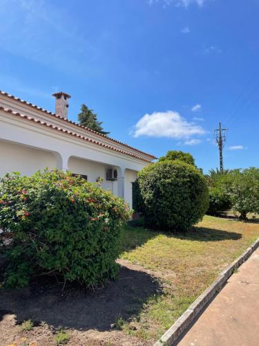 a white house with two bushes in front of it at Quinta das Palmeiras - Casa no Campo com Piscina in Pegões