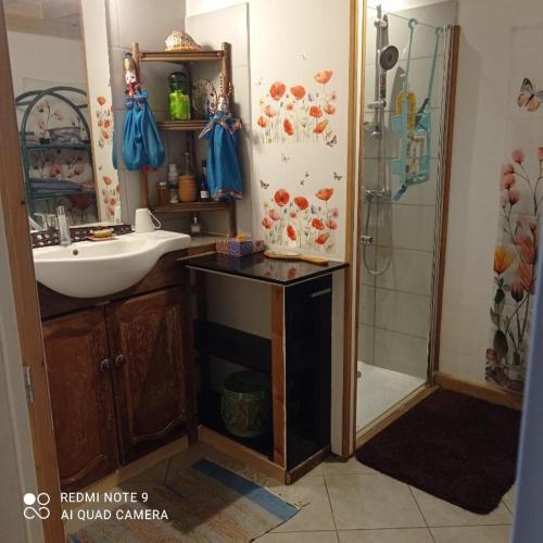 une salle de bain avec un lavabo et une douche dans l'établissement Les trésors du Lac, à Celles